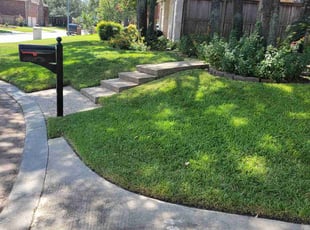 Mike B.'s Lawn Care service result