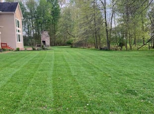 Candace W.'s Lawn Mowing Service service result