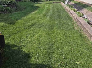 William C.'s Lawn Mowing service result