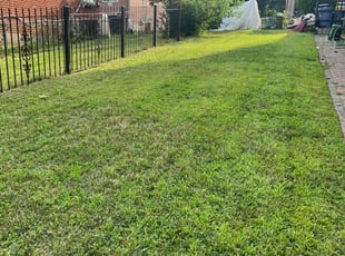 Alex V.'s Lawn Maintenance service result