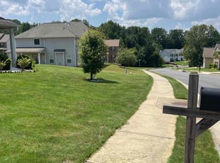 Kenneth P.'s Lawn Mowing service result