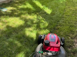 Weeding by Alesandre Duarte for Emmett W. in Sterling, VA