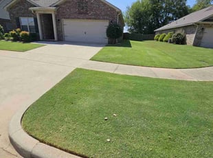 Byron S.'s Grass Cutting service result