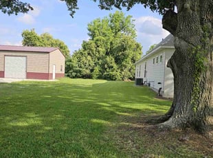 Andrew A.'s Lawn Mowing service result