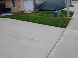 Rolla P.'s Yard Cutting service result