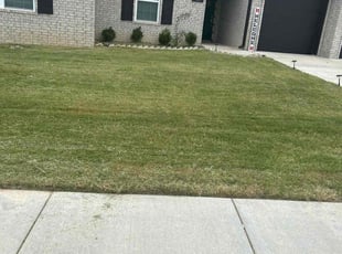 Kayla T.'s Lawn Service service result