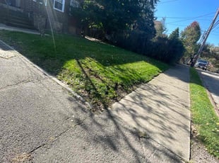 Mike P.'s Lawn Service service result