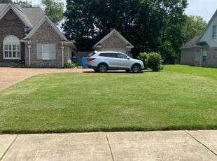 Luna B.'s Grass Cutting service result