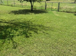 Tim D.'s Lawn Maintenance service result