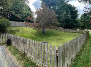 Ashaunah S.'s Lawn Service service result