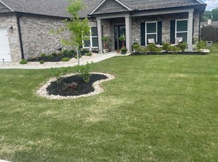 Panini S.'s Lawn Care service result