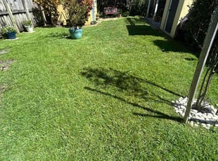 Stefanie S.'s Grass Cutting service result