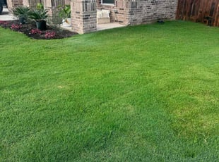 Angie W.'s Lawn Care service result