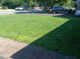 Carol F.'s Grass Cutting service result