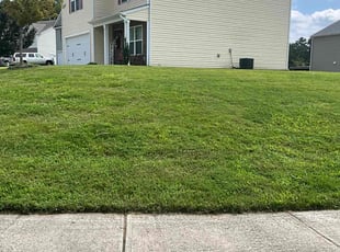 Sandy c.'s Lawn Service service result
