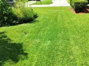 Sherri H.'s Lawn Mowing service result