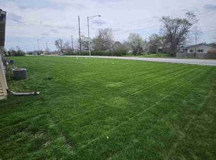 Caressa E.'s Lawn Mowing service result