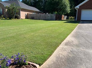 Violet T.'s Lawn Mowing Service service result