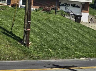 Sydney S.'s Lawn Service service result