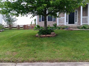 Maxwell M.'s Grass Cutting service result