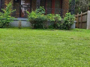 Tony G.'s Lawn Care service result