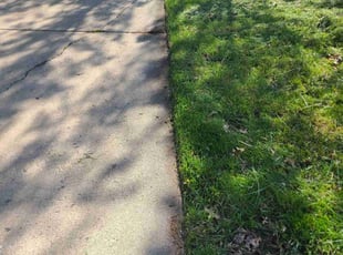 Nate D.'s Lawn Service service result