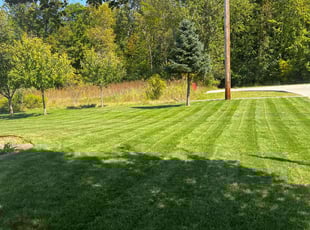 William M.'s Grass Cutting service result