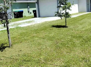 Lloyd F.'s Grass Cutting service result