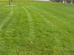 Bob M.'s Lawn Care service result