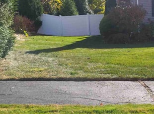 Monic B.'s Lawn Care service result