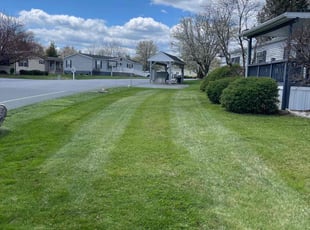Gerry O.'s Yard Cutting service result