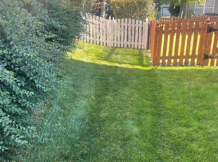 Rose S.'s Lawn Care service result