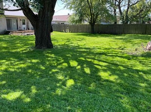 Lisa B.'s Lawn Mowing Service service result
