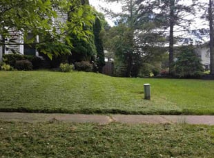 Anthony B.'s Lawn Maintenance service result