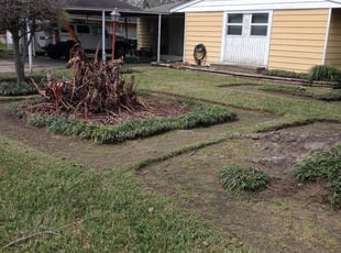 Leaf Removal by Veronika Martinez for Kimberly W. in Houston, TX