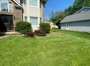 Kaven K.'s Lawn Mowing service result