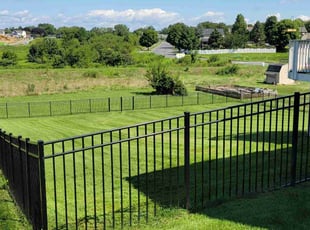 Linda N.'s Lawn Mowing Service service result