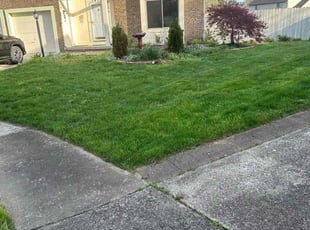 Nancy O.'s Lawn Care service result