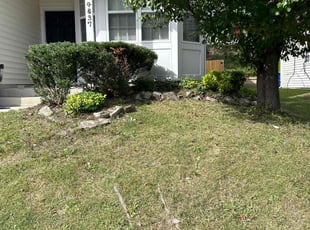 Leaf Removal by Brandon Chapman for William B. in Raleigh, NC