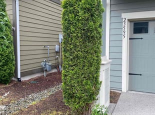Bush Trimming by Jay Chavez for Doressa G. in Black Diamond, WA