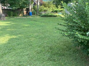 Valerie M.'s Lawn Care service result