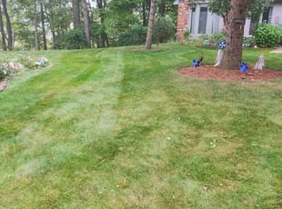 Debra F.'s Lawn Service service result
