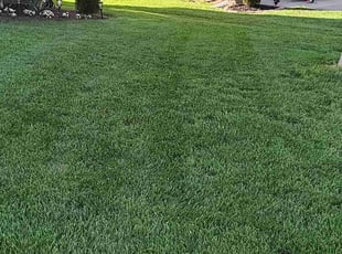 Lamont C.'s Lawn Service service result