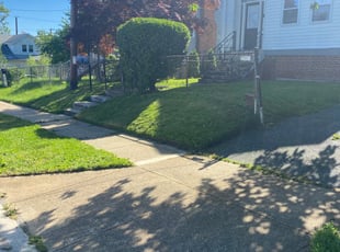 Bush Trimming by Norman Blanchard for Rose W. in Capitol Heights, MD