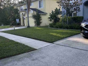 Isabella R.'s Lawn Care service result