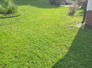 Natacha K.'s Lawn Care service result