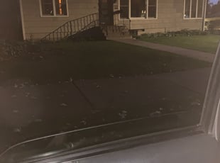 Bush Trimming by Shawn Spiess for Ana Maria M. in Minneapolis, MN