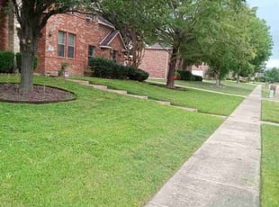 Michael M.'s Lawn Maintenance service result