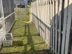 Dezi T.'s Lawn Service service result