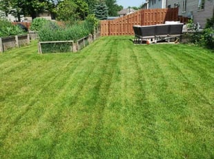 Michael W.'s Yard Cutting service result